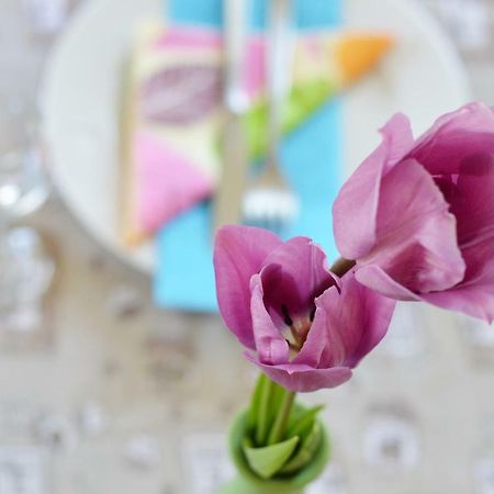 Apartment Elza Zadar Ngoại thất bức ảnh
