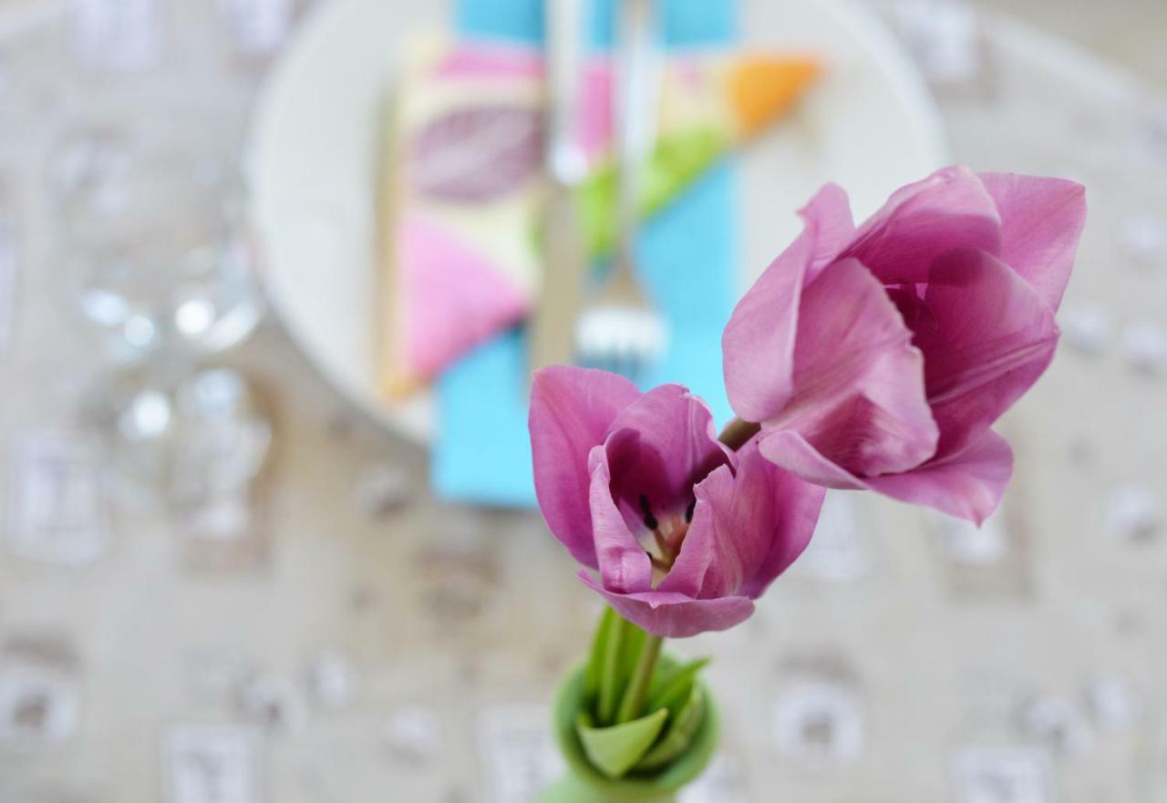 Apartment Elza Zadar Ngoại thất bức ảnh